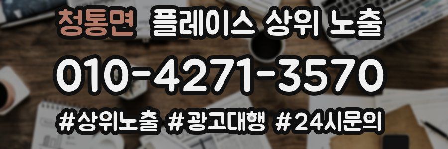 청통면 플레이스 상위 노출 상담
