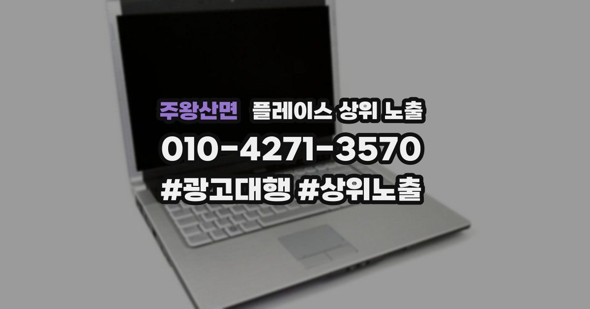 주왕산면 플레이스 상위 노출