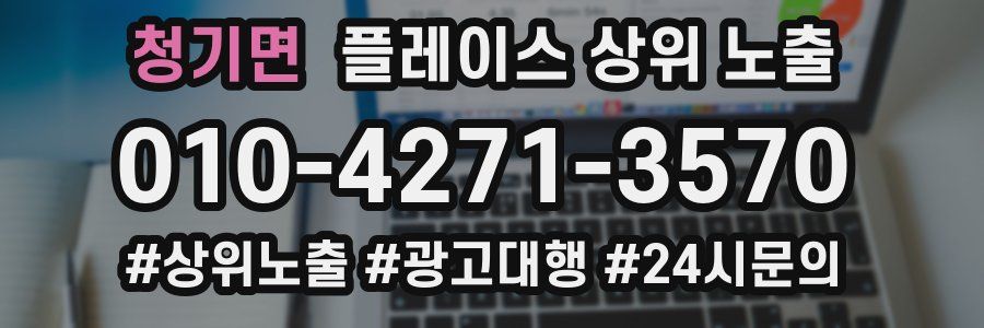 청기면 플레이스 상위 노출 상담