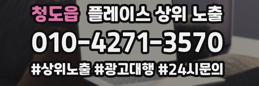 청도읍 플레이스 상위 노출 안내
