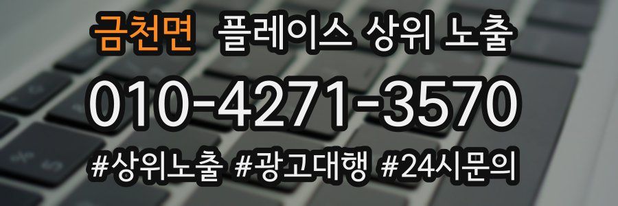 금천면 플레이스 상위 노출 안내
