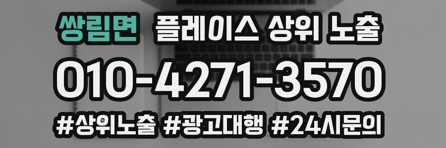 쌍림면 플레이스 상위 노출 상담