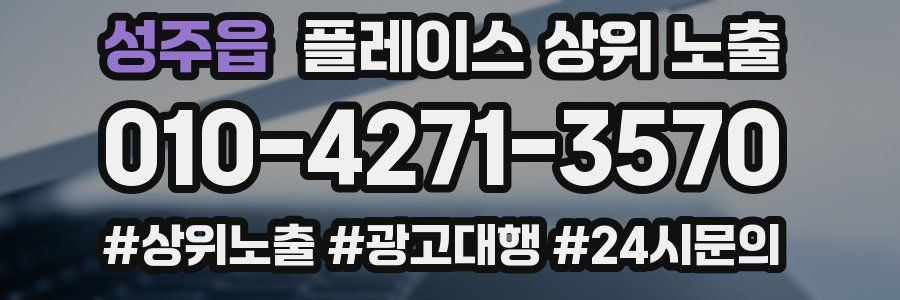 성주읍 플레이스 상위 노출 상담
