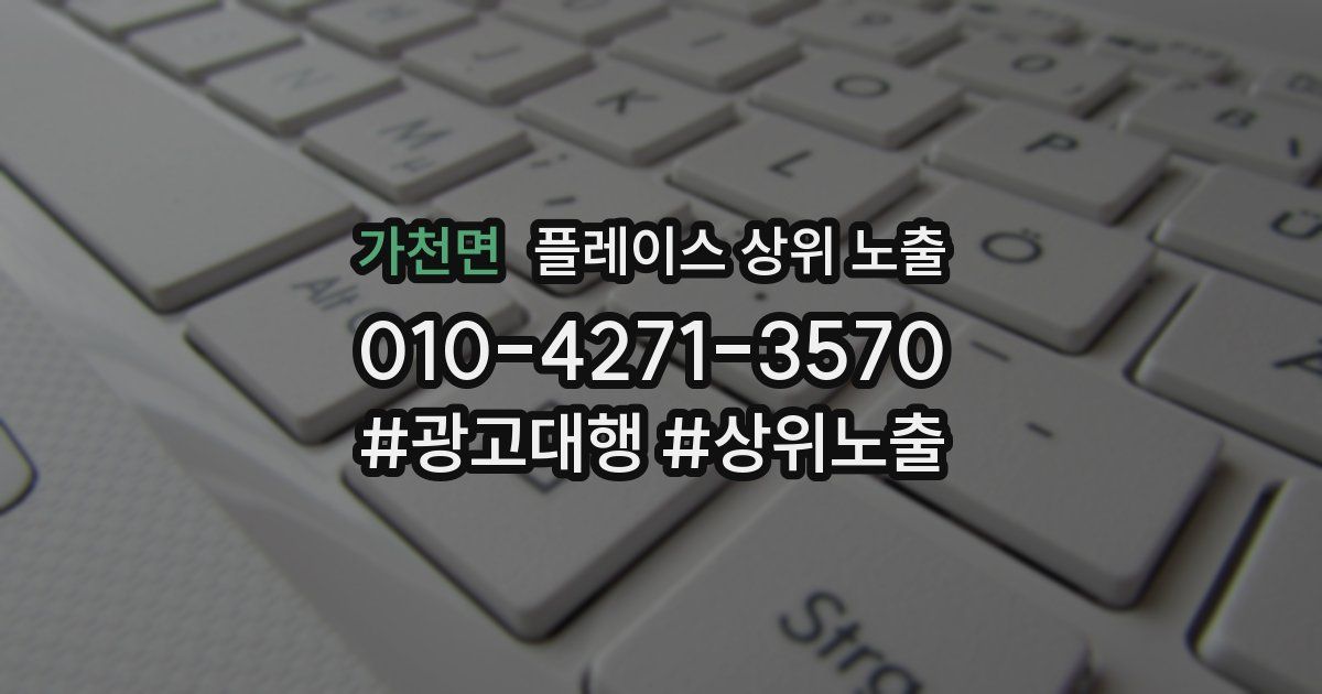가천면 플레이스 상위 노출 상담