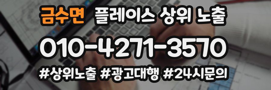 금수면 플레이스 상위 노출