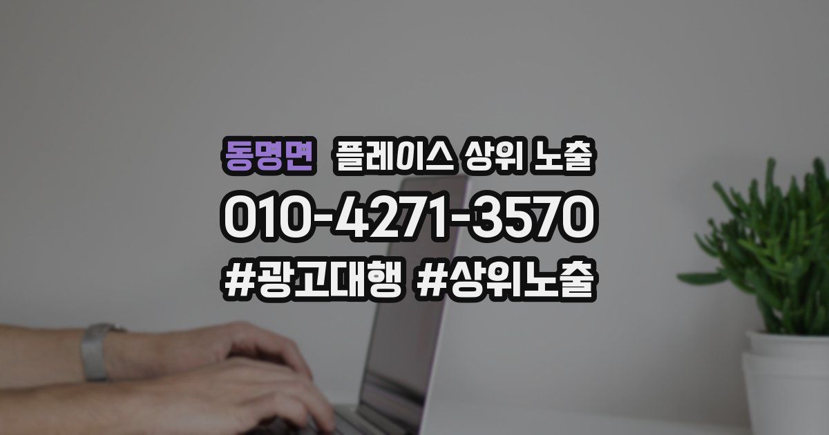 동명면 플레이스 상위 노출 개선