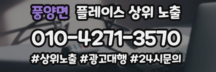 풍양면 플레이스 상위 노출 상담