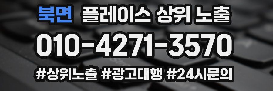 북면 플레이스 상위 노출