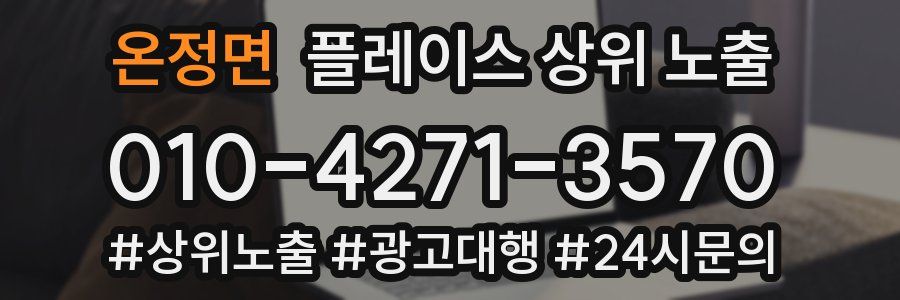 온정면 플레이스 상위 노출 상담