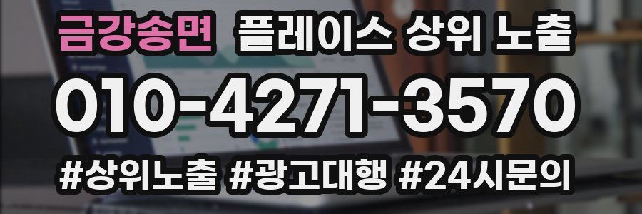금강송면 플레이스 상위 노출 개선