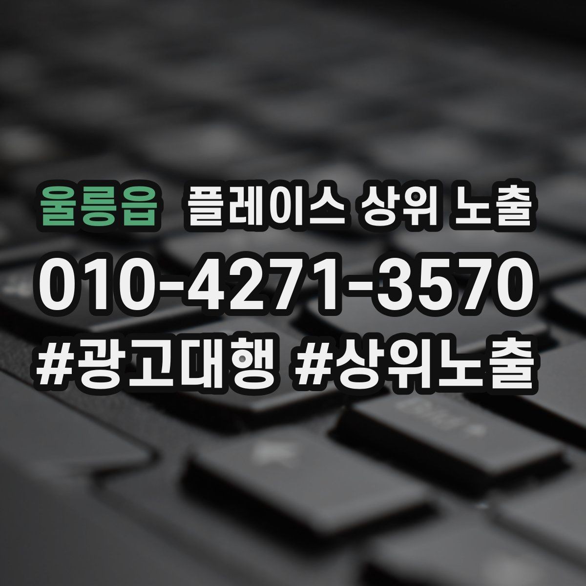 울릉읍 플레이스 상위 노출 톡톡 버튼으로 문의를 늘리는 방법