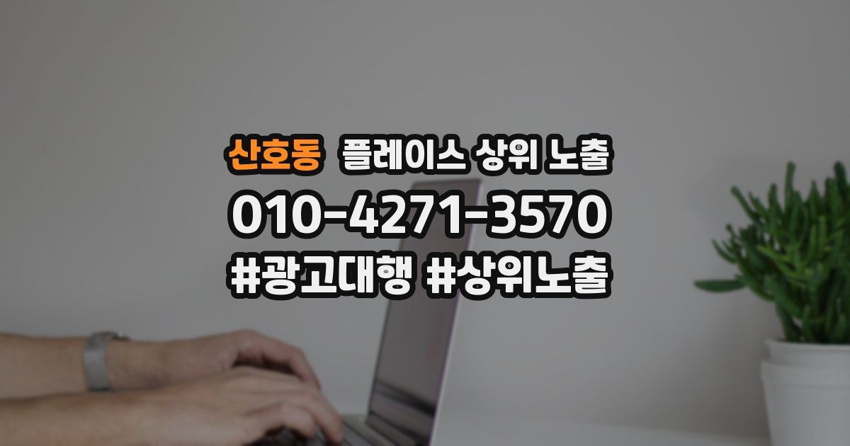 산호동 플레이스 상위 노출 상담