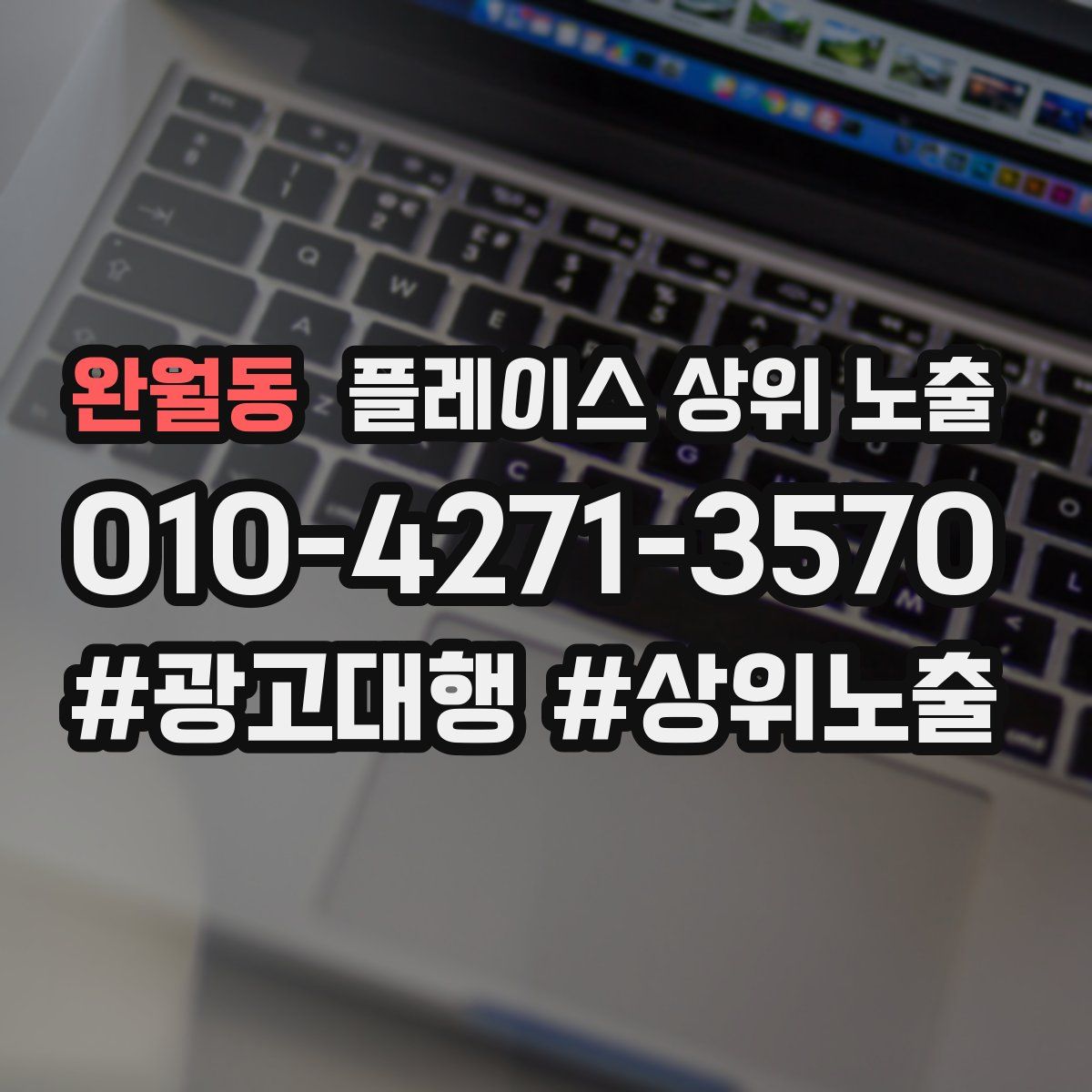 완월동 플레이스 상위 노출