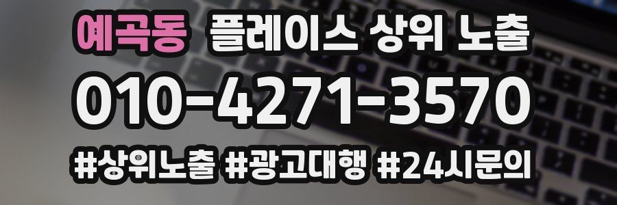 예곡동 플레이스 상위 노출 상담