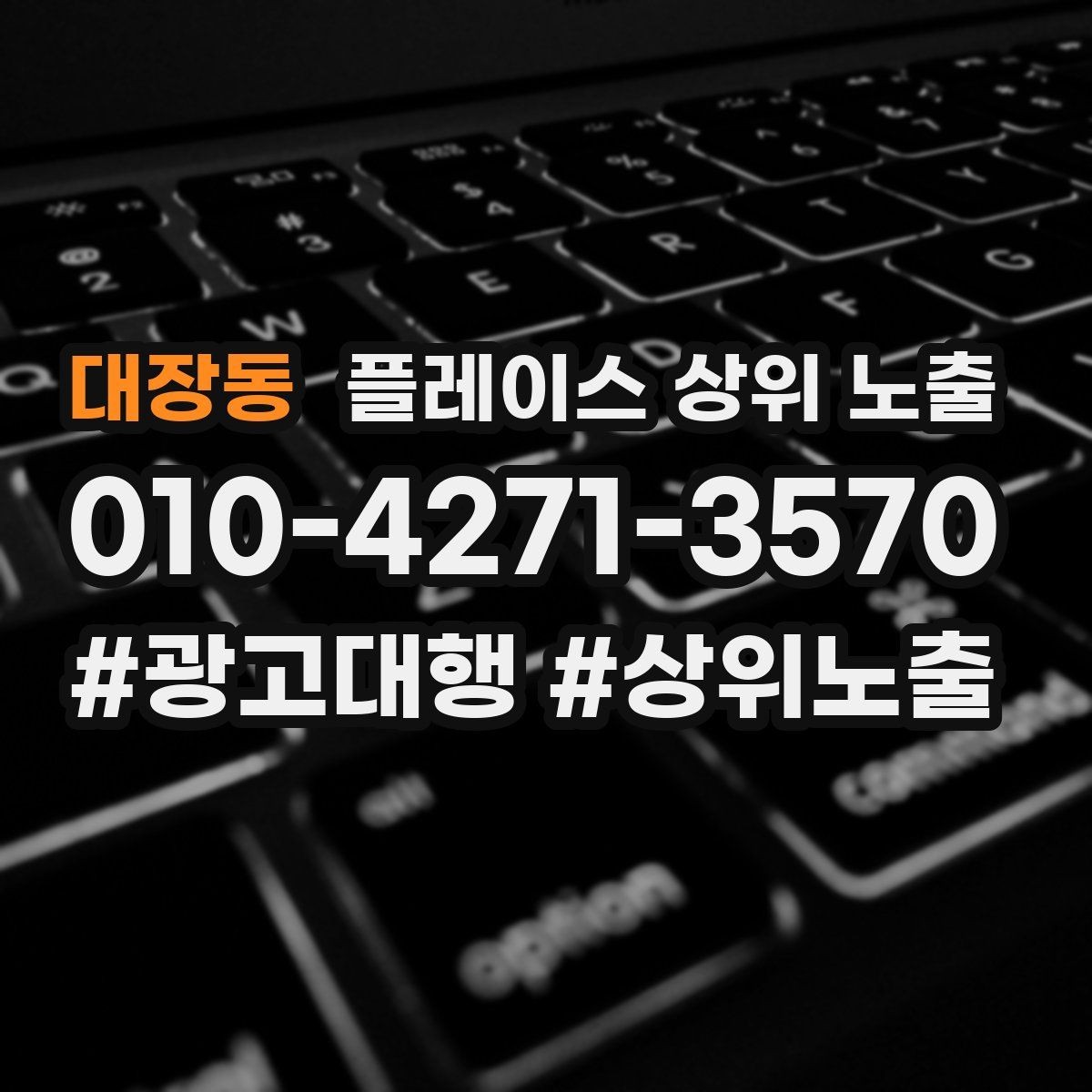 대장동 플레이스 상위 노출 최저가 대신 신뢰를 주는 문구