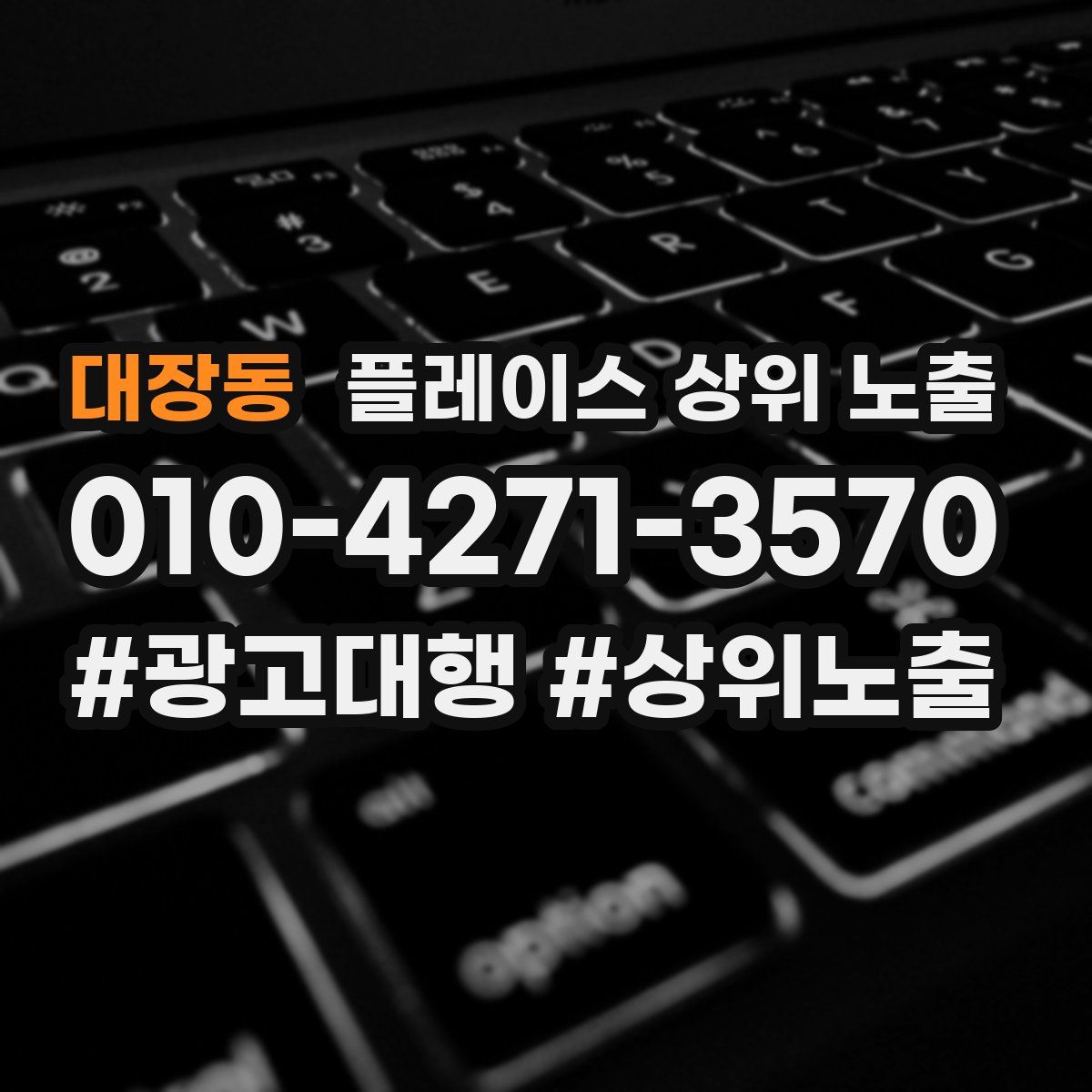 대장동 플레이스 상위 노출 상담