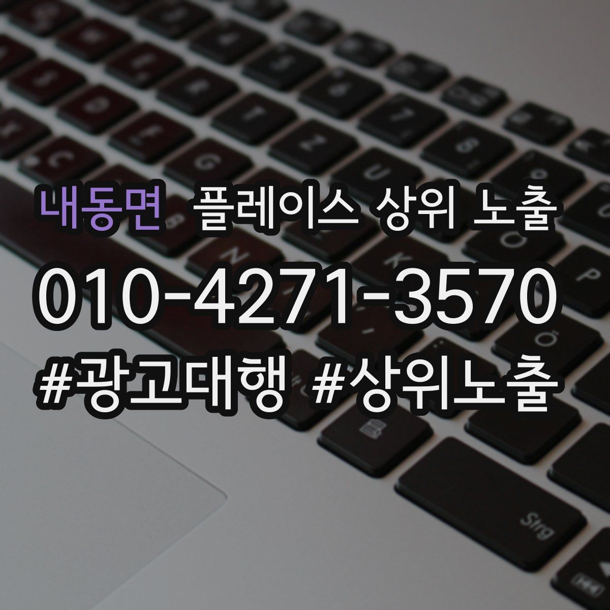 내동면 플레이스 상위 노출 안내