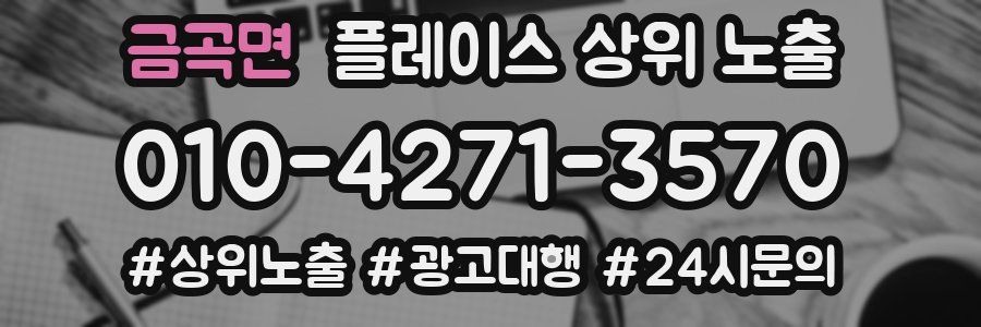 금곡면 플레이스 상위 노출 개선
