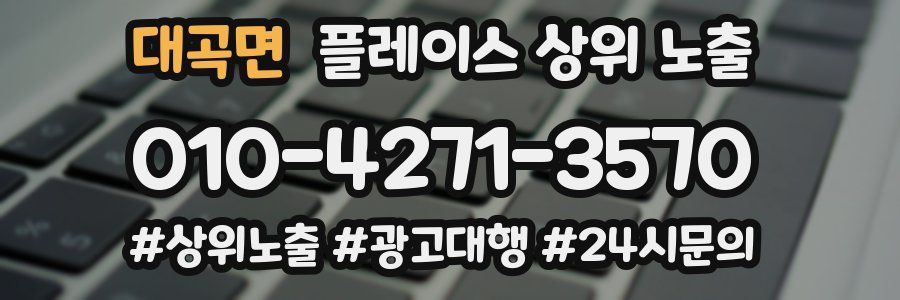 대곡면 플레이스 상위 노출 가이드