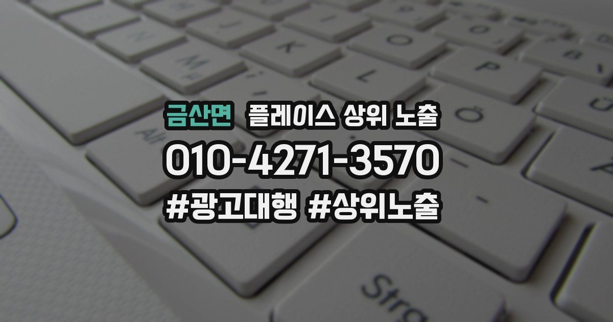 금산면 플레이스 상위 노출 개선