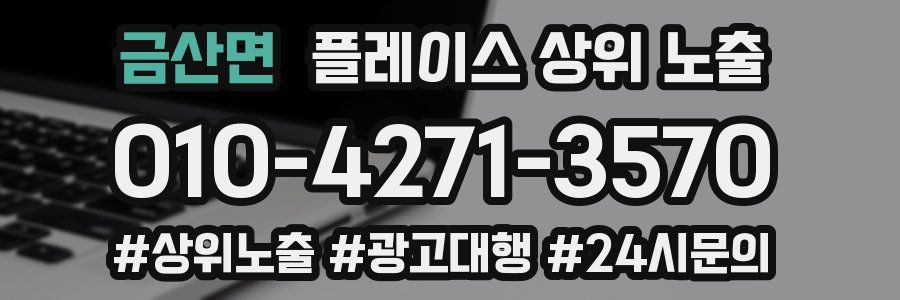 금산면 플레이스 상위 노출 안내