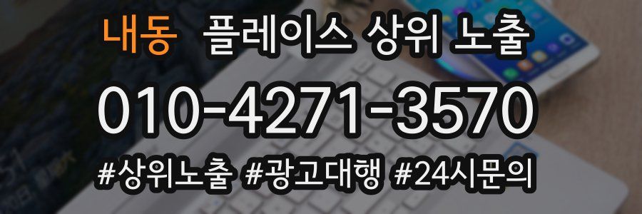 내동 플레이스 상위 노출