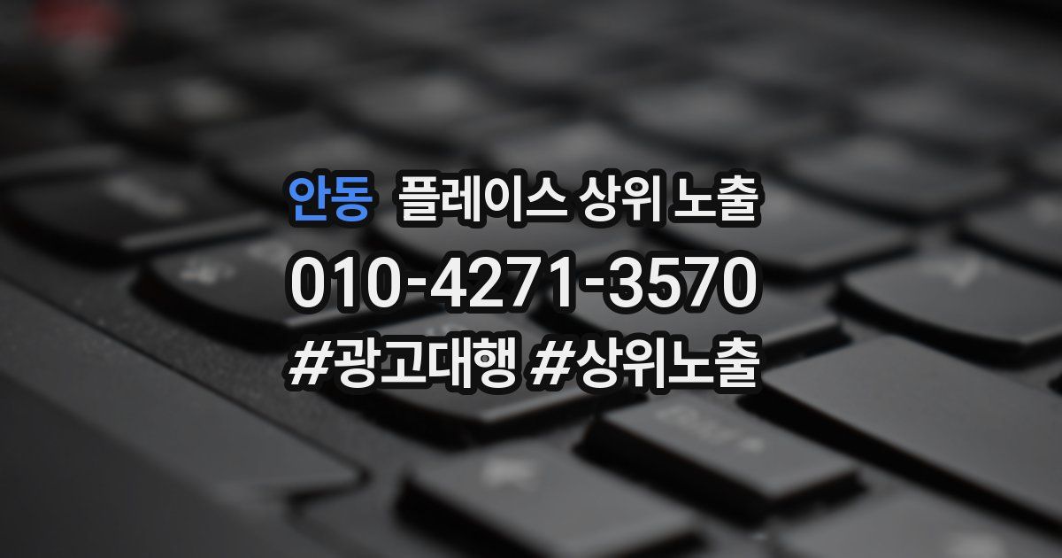 안동 플레이스 상위 노출 안내