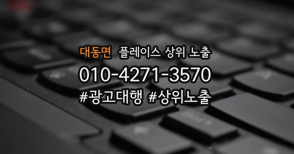 대동면 플레이스 상위 노출 안내