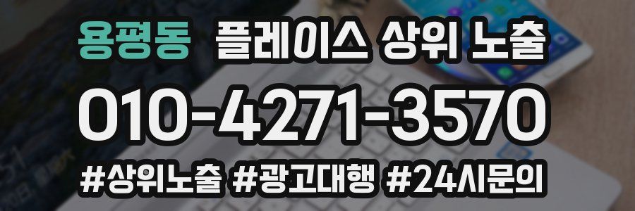 용평동 플레이스 상위 노출 개선