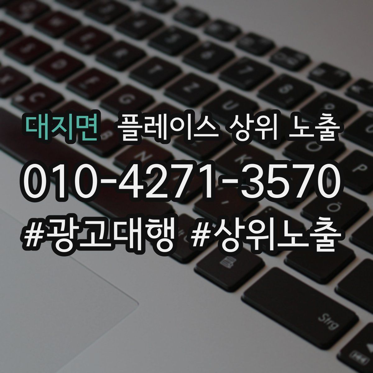 대지면 플레이스 상위 노출 안내