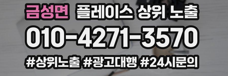금성면 플레이스 상위 노출 상담