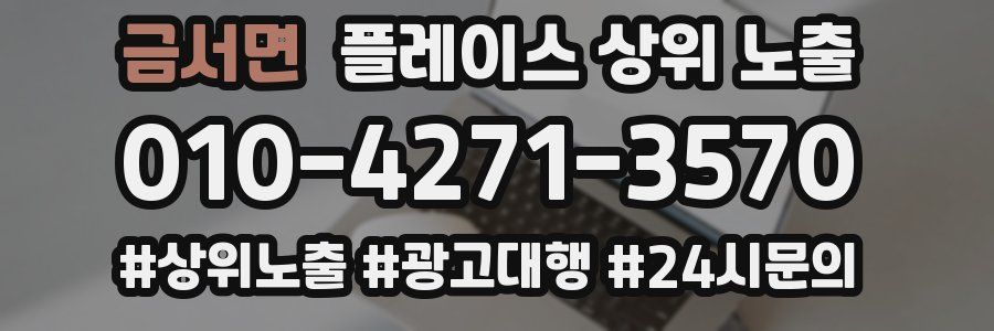 금서면 플레이스 상위 노출 상담