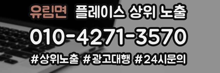 유림면 플레이스 상위 노출 개선