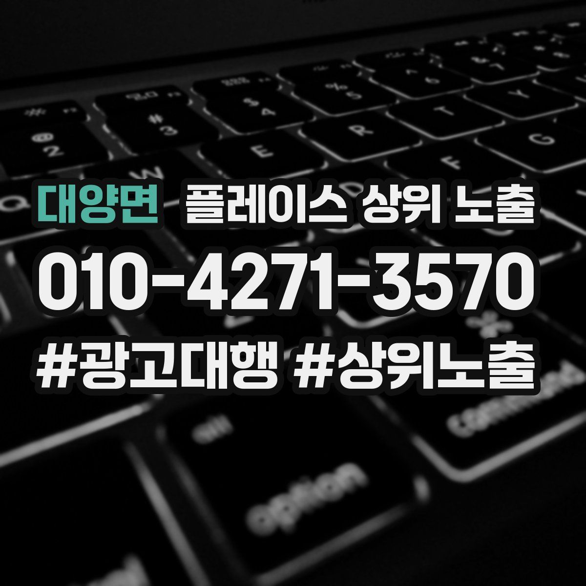 대양면 플레이스 상위 노출 개선