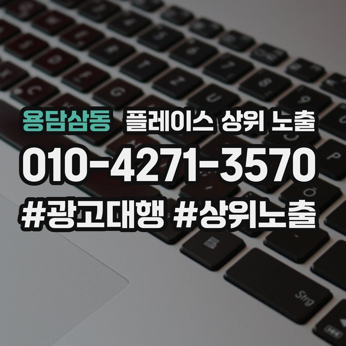 용담삼동 플레이스 상위 노출
