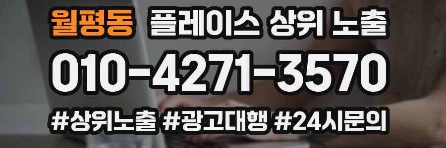 월평동 플레이스 상위 노출 안내