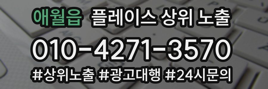 애월읍 플레이스 상위 노출