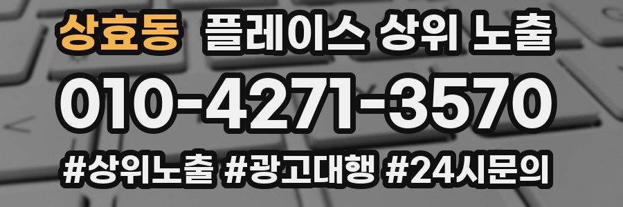 상효동 플레이스 상위 노출 상담