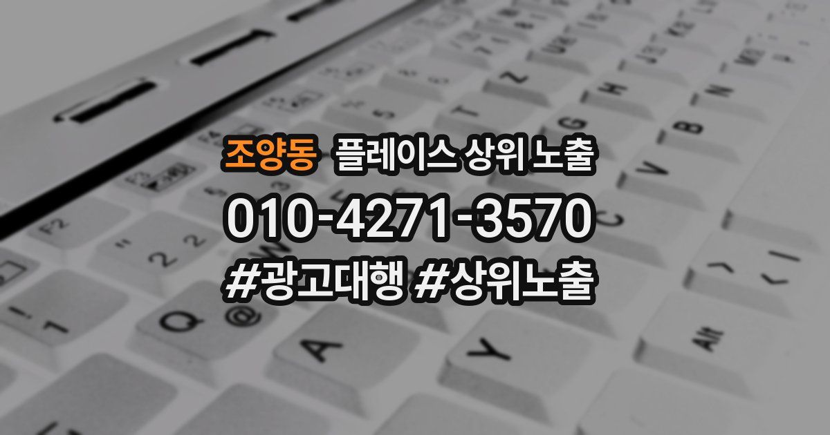 조양동 플레이스 상위 노출 가이드
