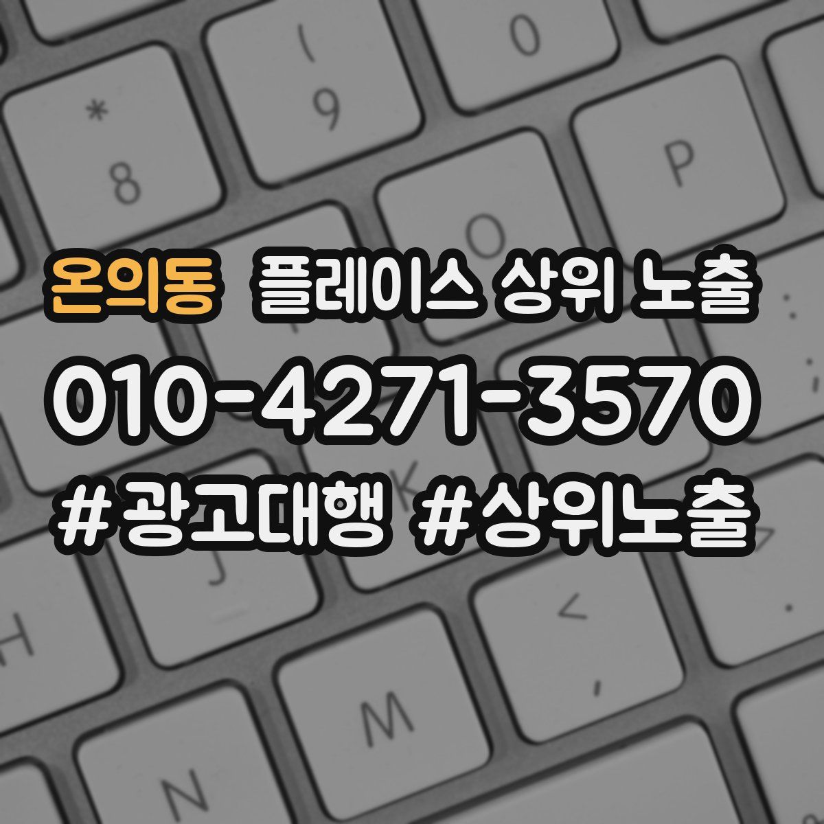 온의동 플레이스 상위 노출 개선