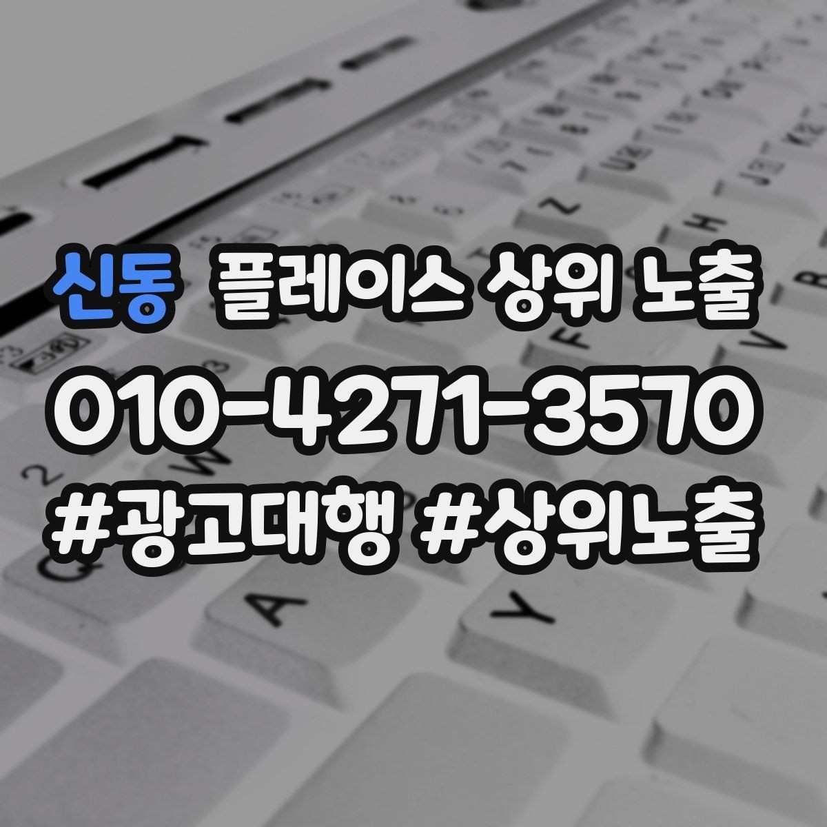신동 플레이스 상위 노출 긴급 수요 업종의 프로필 구성 포인트