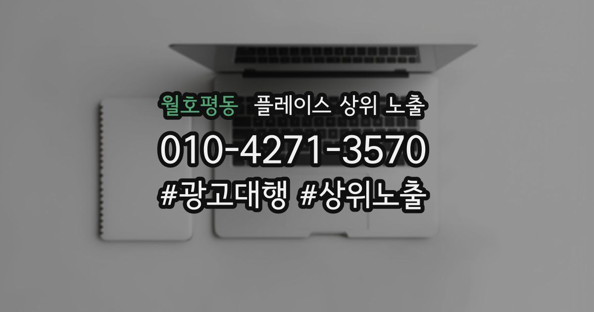 월호평동 플레이스 상위 노출