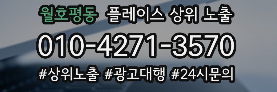 월호평동 플레이스 상위 노출 상담