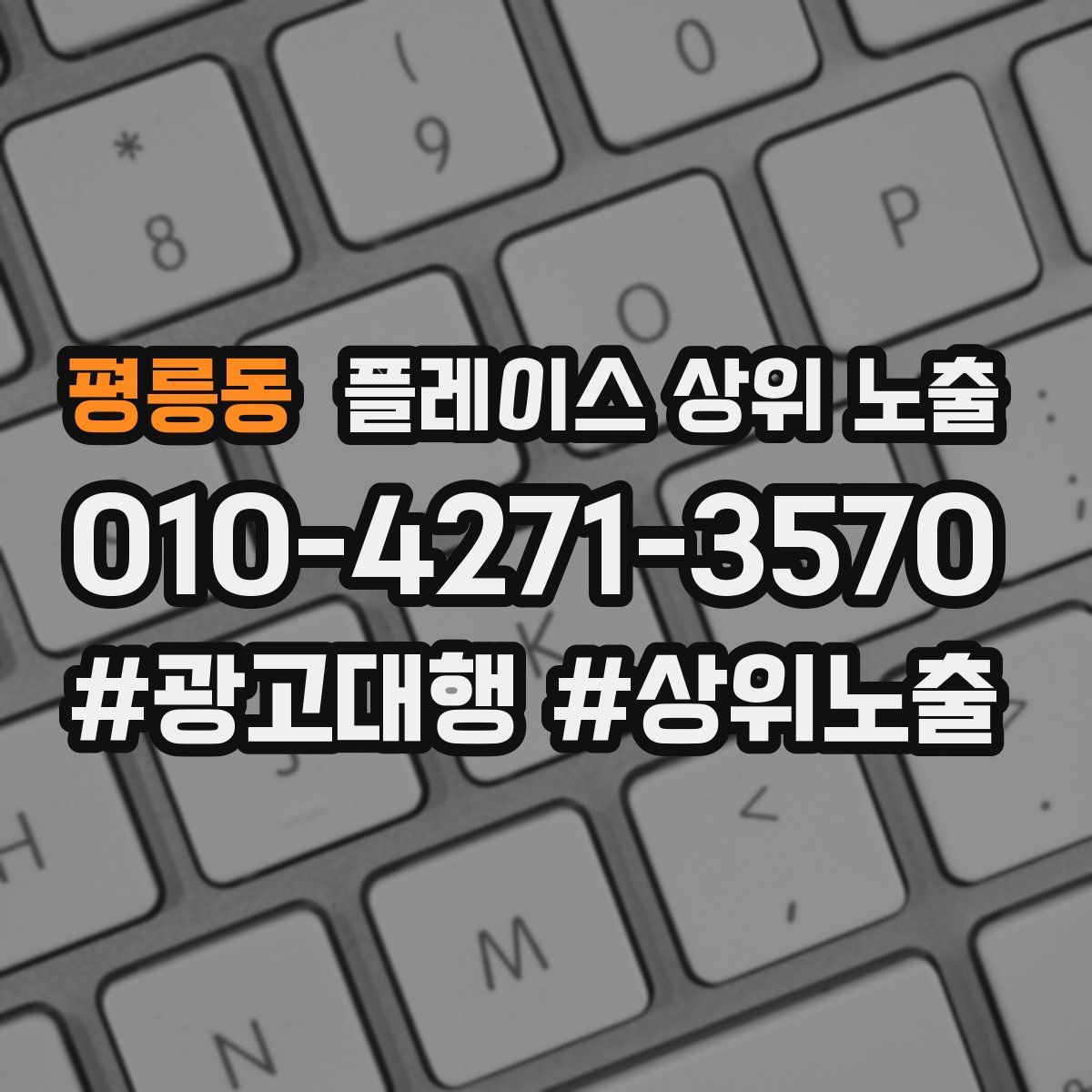 평릉동 플레이스 상위 노출 전략