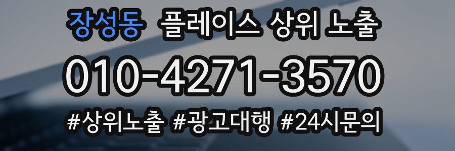 장성동 플레이스 상위 노출 개선