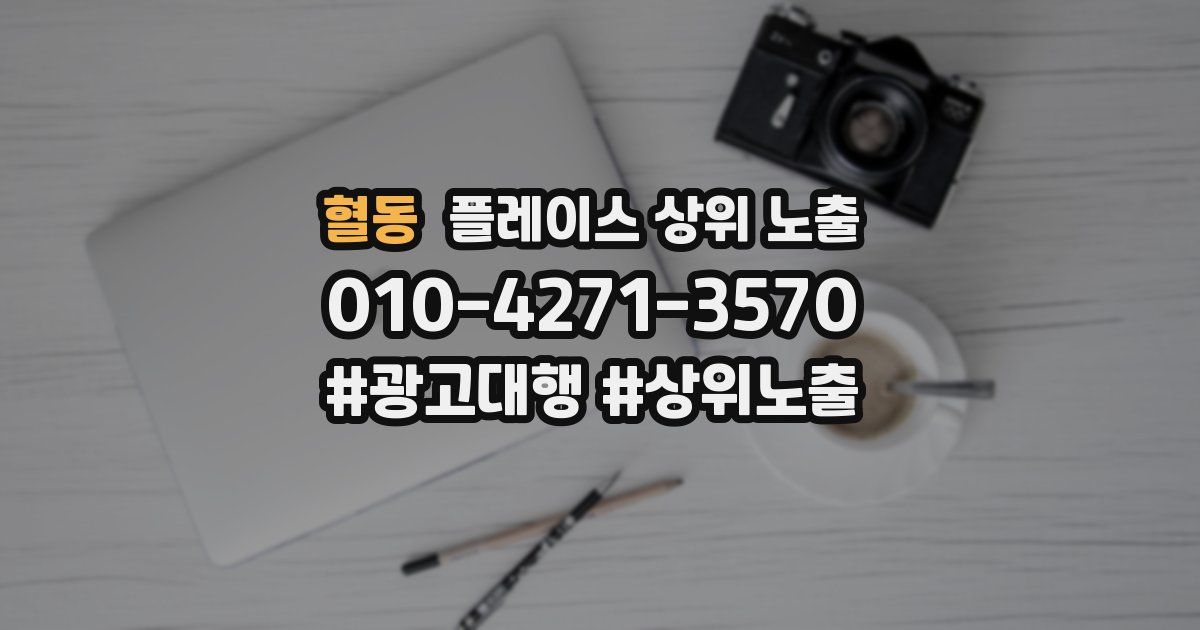 혈동 플레이스 상위 노출 안내