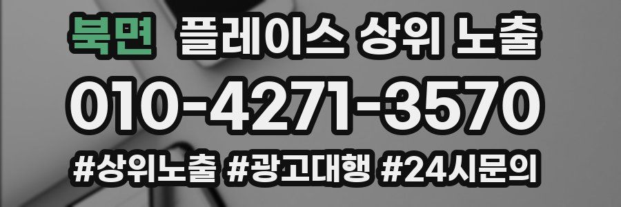 북면 플레이스 상위 노출