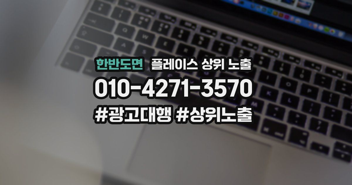 한반도면 플레이스 상위 노출