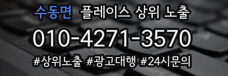 수동면 플레이스 상위 노출 안내
