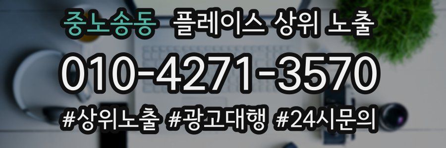 중노송동 플레이스 상위 노출 개선